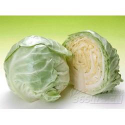 廣東糖類產(chǎn)品與蔬菜的批發(fā)、供應(yīng)及廠家資源整合